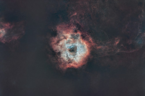 Rosette sans étoile.jpg