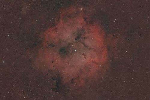 IC 1396.jpg2.jpg