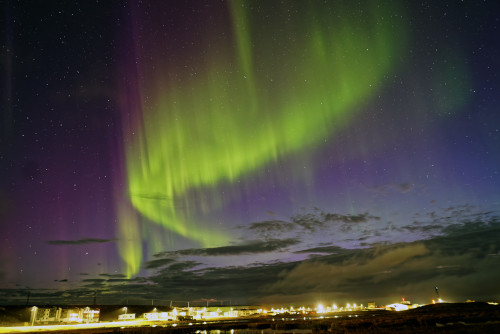 Aurora Raufarhofn.jpg