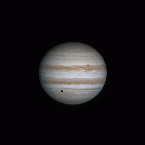 Animation50x2.gif